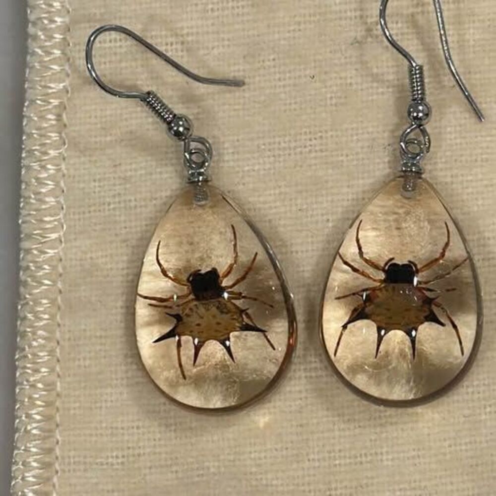 Real Preserved Spiny Orb-Weaver Spider Earrings Teardrop Dangle | Gothic ewelry